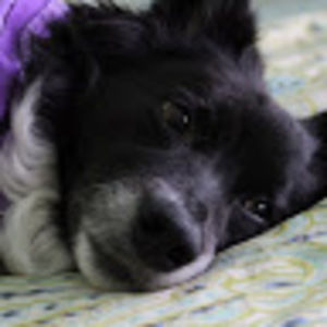 Meet your Posher, Micaela